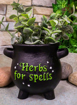 Green Thumb Gardening Black Witchcraft Herbs For Spells Cauldron Planter... - £16.77 GBP