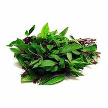 Thai Basil Seeds- 500 Count Seed Pack - Non-GMO - A Particular Sweet Flavored he - £7.07 GBP