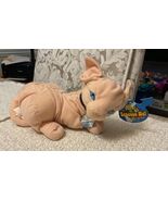 Austin Powers MR. BIGGLESWORTH Plush Dr. Evil Cat - Blockbuster Video, W... - $39.59