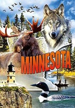Minnesota 3D Fridge Magnet - $6.99