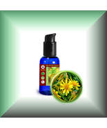 Arnica Oil (Arnica Montana) Flower Extract - Extra Strength Concentrated... - €12,86 EUR+