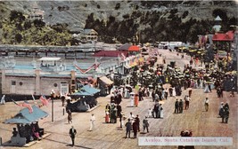 Avalon Santa Catalina Island California Postcard 1910 - £8.74 GBP