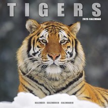 Tigers 2025 Square Wall Calendar | Animal, Wildlife Calendar: Original A... - £13.42 GBP