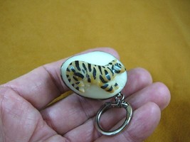 TNE-TIG-484-B) Tiger Tagua Nut Figurine Carving Keychain Key Love Striped Tigers - £12.88 GBP