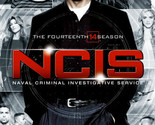 NCIS Season 14 DVD | Region 4 - $25.08
