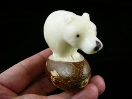 (TNE-BEAR-231) white BEAR cub TAGUA NUT Figurine carving Vegetable I love bears - £23.52 GBP