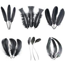 Black Craft Feathers Bulk - 240Pcs 6 Style Mixed Natural Feathers For We... - £15.14 GBP