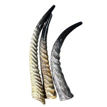 1 Waterbuck Shofar Kosher-Made Horn Shofar, Yemenite  Horn Judaica Shofa... - £148.20 GBP