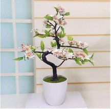 Bonsai Tree japanese sakura flower Cherry Blossoms 10 seeds - £7.76 GBP