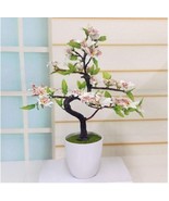 Bonsai Tree japanese sakura flower Cherry Blossoms 10 seeds - £7.61 GBP