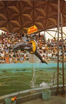 Miami Fl Seaquarium~World Famous Porpoise Corky~Golden Aquadome~Postcard 1960s - £7.41 GBP