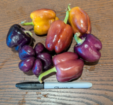 Item image 3