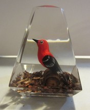Vintage hand carved scarlet tanager Lucite paperweight - $18.00