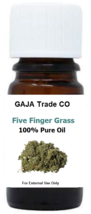 Five Finger Grass Oil 15mL – Protection Success Luck Prosperity Love (Sealed) - £8.53 GBP