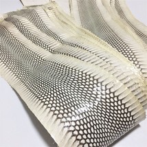 Asia Cobra Snake Skin Hide Leather Snakeskin Craft Supply Natural Glossy... - $14.75+