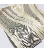 Asia Cobra Snake Skin Hide Leather Snakeskin Craft Supply Natural Glossy... - $14.75+