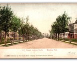 39th Street View Omaha Nebraska NE 1905 UDB Postcard V16 - $3.91