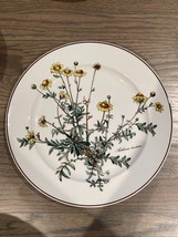 Villeroy and Boch Botanica China Anthemis Tinctoria 10.5 inch Dinner Plates S... - £54.52 GBP