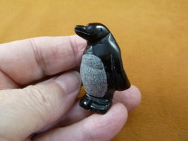 (Y-PEN-558) Black Onyx PENGUIN gemstone Ice BIRD gem figurine carving pe... - £11.02 GBP