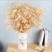 Dried Babys Breath Flowers Bouquet 17 Inch 5000 Ivory White Dry Flowers Natural  - £44.63 GBP