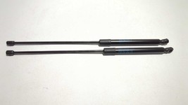 New Takeoff Lift Gate Hatch Strut PAIR 2022-2024 Honda Civic Hatchback s... - $34.65