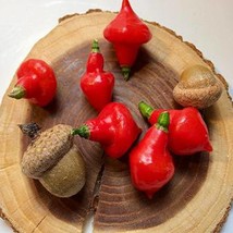 Fresh New Spinning Top Hot Pepper Smoky Sweet Hot Pepper Seeds Naturally And Org - $16.84