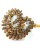 Rare 15 Mukhi Rudraksha Mala / 15 Mukhi Pashupati Mala - 54+1 - Lab Cert... - $2,074.74 CAD