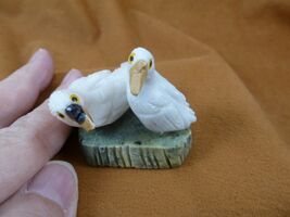 y-bir-lo-451 Lovebirds pair birds white onyx gemstone SOAPSTONE figurine... - $17.37