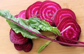 Detroit Dark Red Beet 75 Seeds Robust Flavor Great for Canning   - $3.99