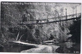 California Postcard Big Tree Groce Bridge Santa Cruz Mountains 1908 - $4.94