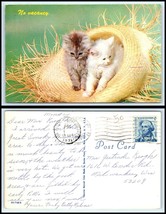 Vintage Postcard - 2 Cute Kittens / Cats Sitting In Straw Hat FF4 - £2.32 GBP