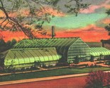 Cincinnati Ohio OH Conservatory at Eden Park UNP Vtg Linen Postcard Curt... - $3.91