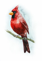 Cardinal Printable Christmas Card Red Digital Watecolor Bird Animal Post... - $4.50