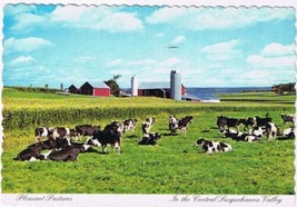 Postcard Pleasant Pastures Cows In The Central Susquehanna Valley Pennsylvania - $3.95