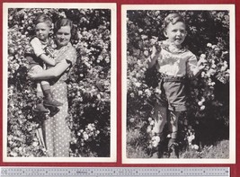Young Boy Immersed in Springtime Blossoms (2) Antique 5x7 1930s Photos - $12.25
