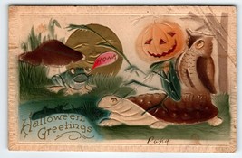 Halloween Postcard Moon Cricket Body Goblin Head Owl Mushroom Turtle Fantasy - £166.33 GBP