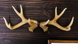 Ebros White Rustic 10 Point Stag Deer Antlers Rack Wall Plaque 17&quot;W Coat Hooks - $30.99