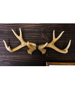 Ebros White Rustic 10 Point Stag Deer Antlers Rack Wall Plaque 17&quot;W Coat... - $30.99
