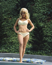 Stella Stevens full length bikini pin up barefoot glamour 8x10 Photo - $9.75