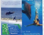 Dolphin Conservation Center at Marineland Florida Brochure - £14.12 GBP