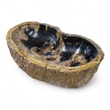 Wash Basin Fossilized Wood Natural Stone Attachment Washbowl Bathroom Bl... - $628.32