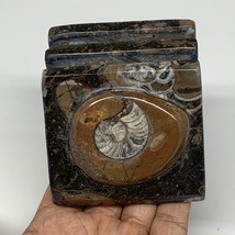 522g, 2.9&quot; x 2.9&quot; x 2&quot; Fossils Orthoceras Ammonite Business Card Holder,... - $14.00