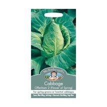 Mr. Fothergill&#39;s 12533 Offenham 2 (Flower of Spring) Cabbage Seeds  - $6.00