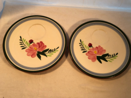 2 Stangl Fruit And Flowers 8 Inch Picnic Plates With Cup Ring Mint - $19.99