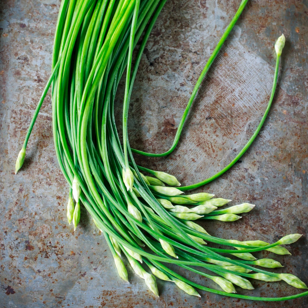 Fresh Premium Garlic Chive Seeds | Jiu Cai | Heirloom Non-GMO | Vegetabl... - $3.20