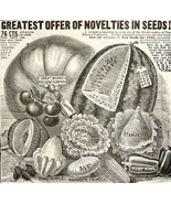 Child Bros Novelty Garden Seeds 1885 Advertisement Victorian Agriculture... - £19.65 GBP