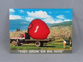Vintage Postcard- They Grow Them Big Okanagan Valley Apple - Traveltime - $15.00