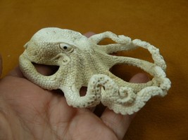 octo-w49 large Octopus of shed ANTLER figurine Bali detailed I love octopi - £203.31 GBP