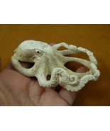 octo-w49 large Octopus of shed ANTLER figurine Bali detailed I love octopi - $272.07