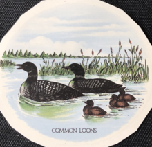 M95 - Ceramic Waterslide Vintage Decal - 1 Common Loons - 4&quot; - £1.57 GBP